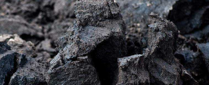 煤是怎样形成的